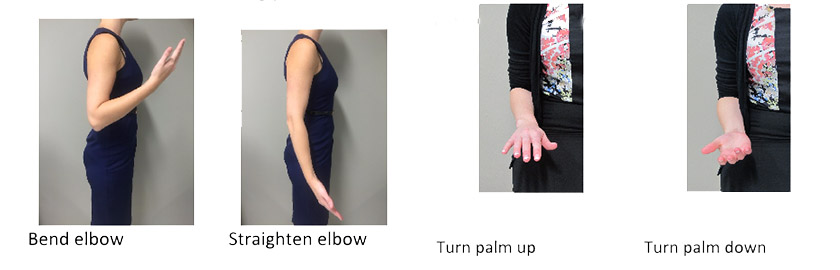 Elbow excercises